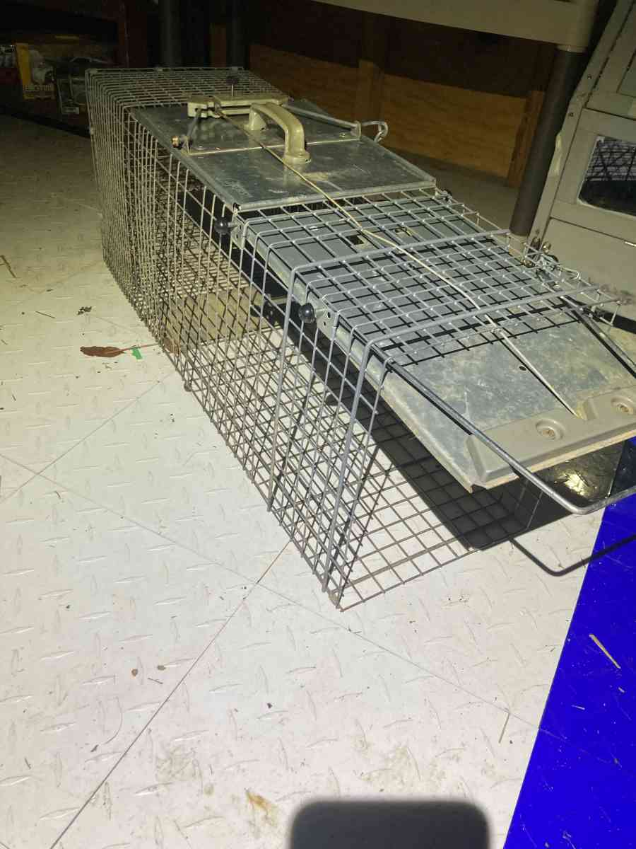Metal Animal Trap Cage - Essington, Pennsylvania - FleaMarketBay