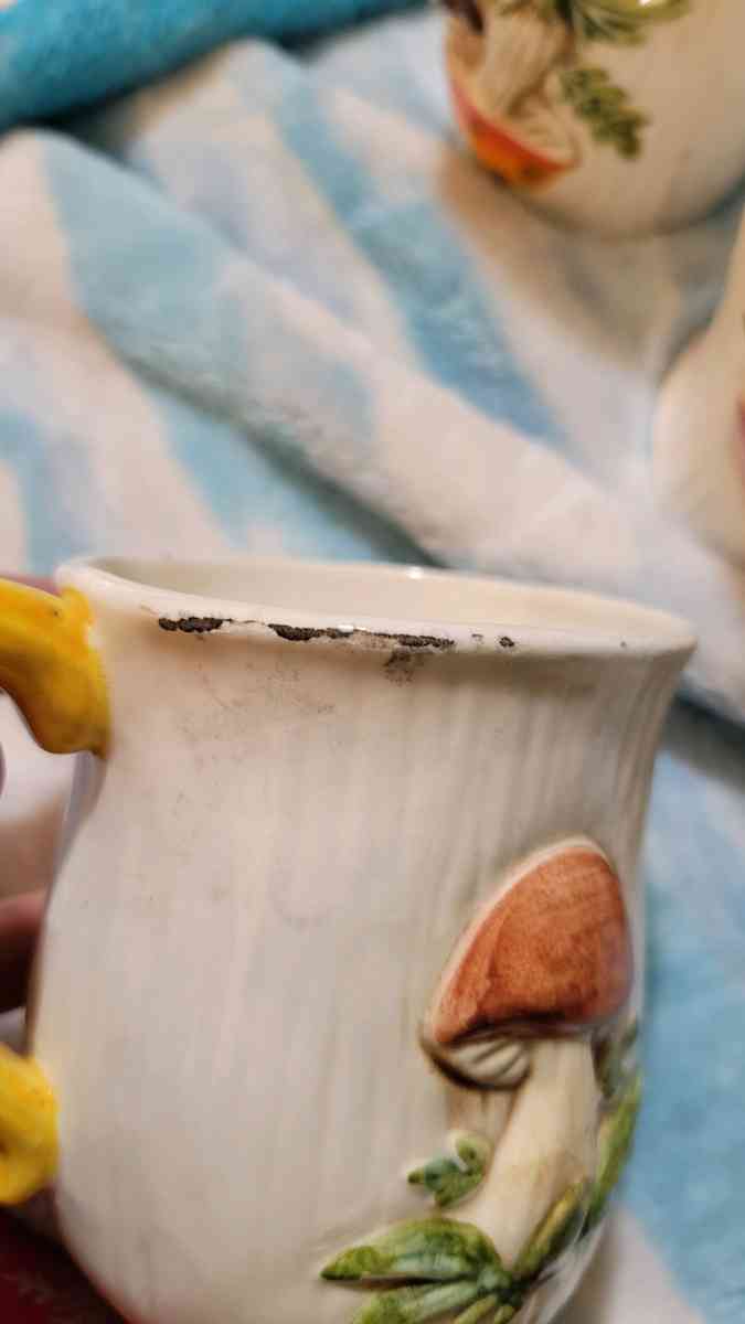 Vintage Merry Mushroom Drinkware - Rockford, Illinois - FleaMarketBay