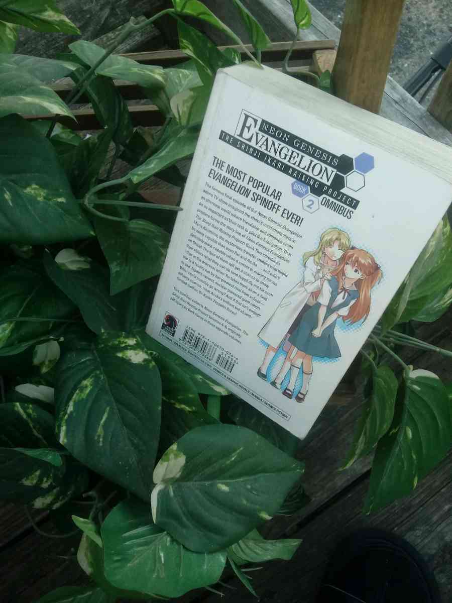 Neon Genesis Evangelion - Ramseur, North Carolina - FleaMarketBay