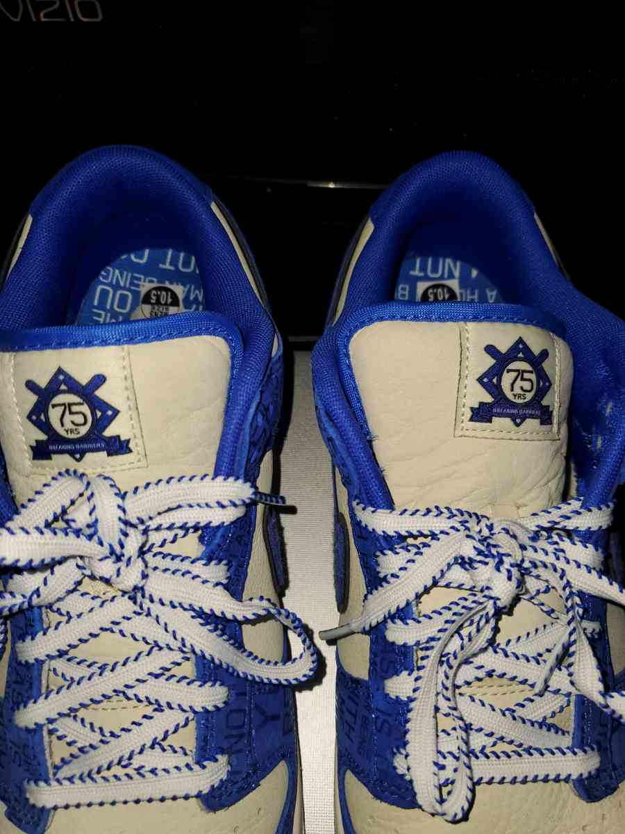 Jackie Robinson 75th anniversary Limited Edition Nike Dunks - Chester Gap, Virginia - FleaMarketBay
