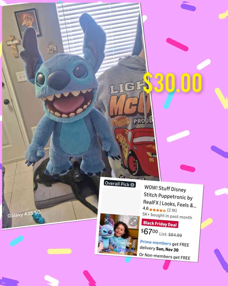 Stitch Puppet - Kissimmee, Florida