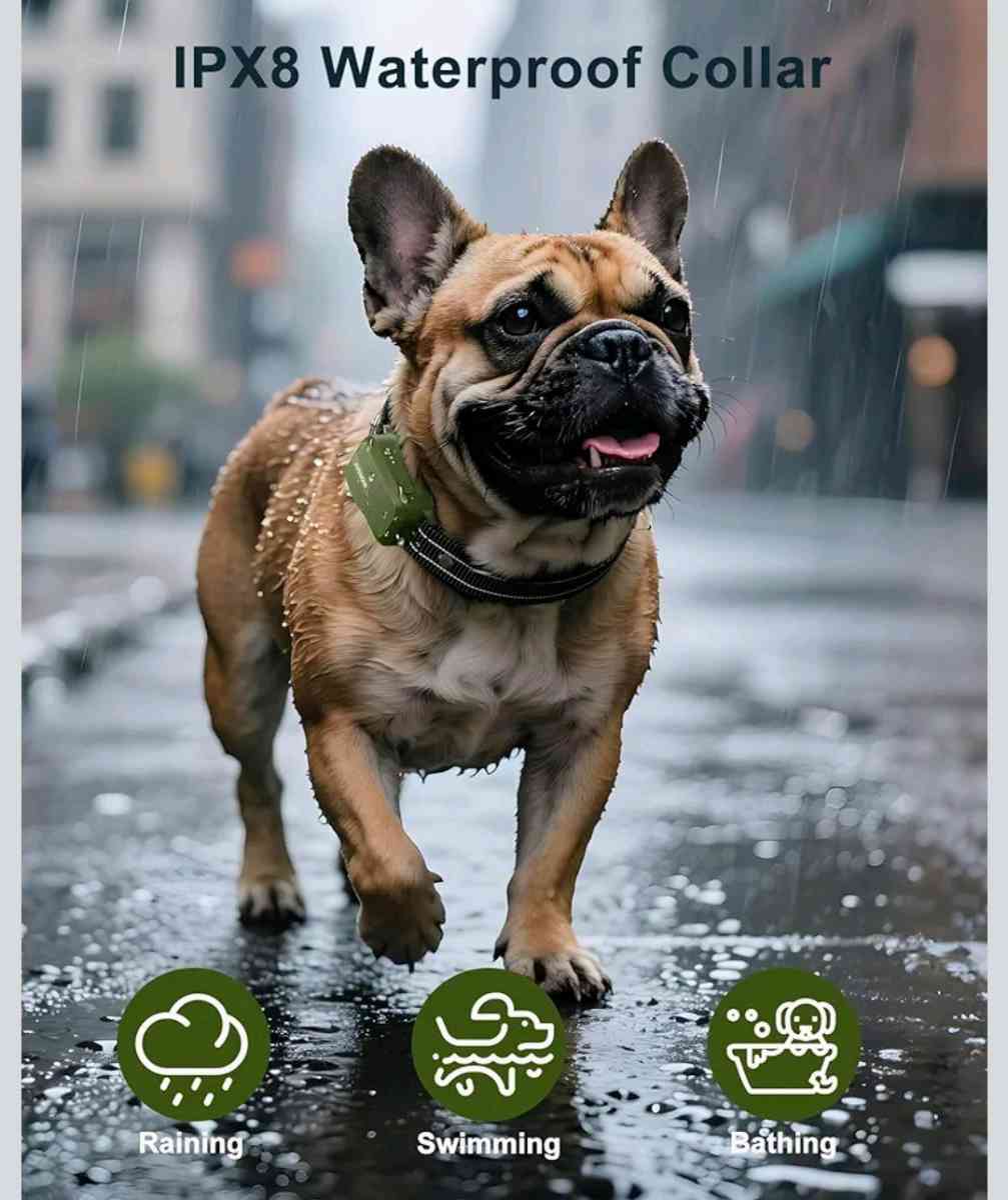 Collar de entrenamiento para perros - Richmond, Texas - FleaMarketBay