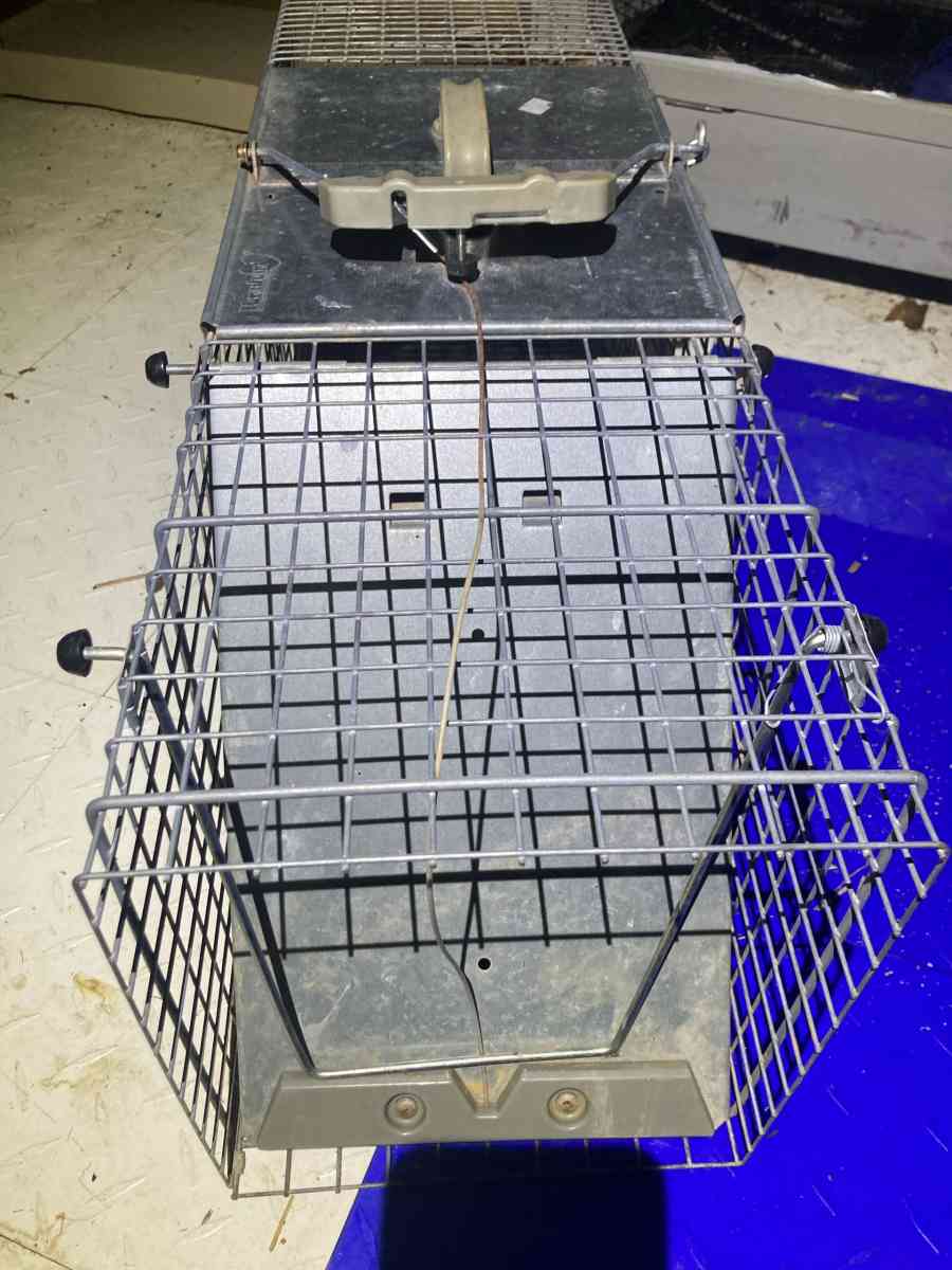 Metal Animal Trap Cage - Essington, Pennsylvania - FleaMarketBay