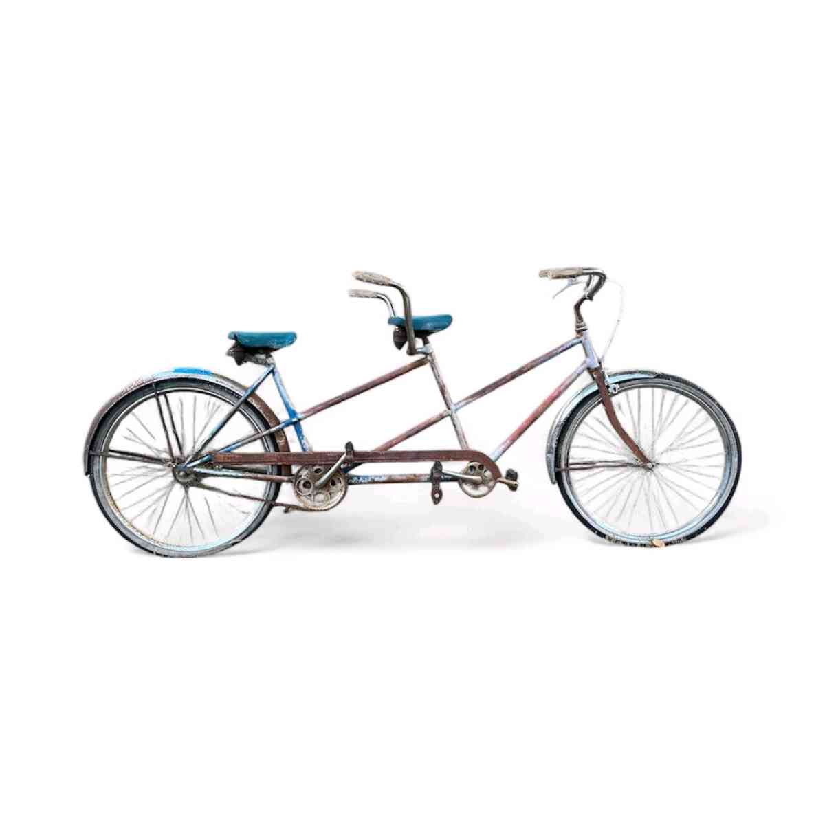 antique bike - Fayetteville, Georgia