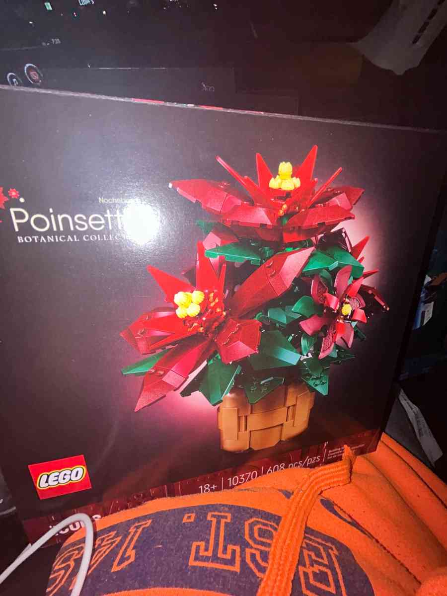 Poinsetta Lego set - San Antonio, Texas