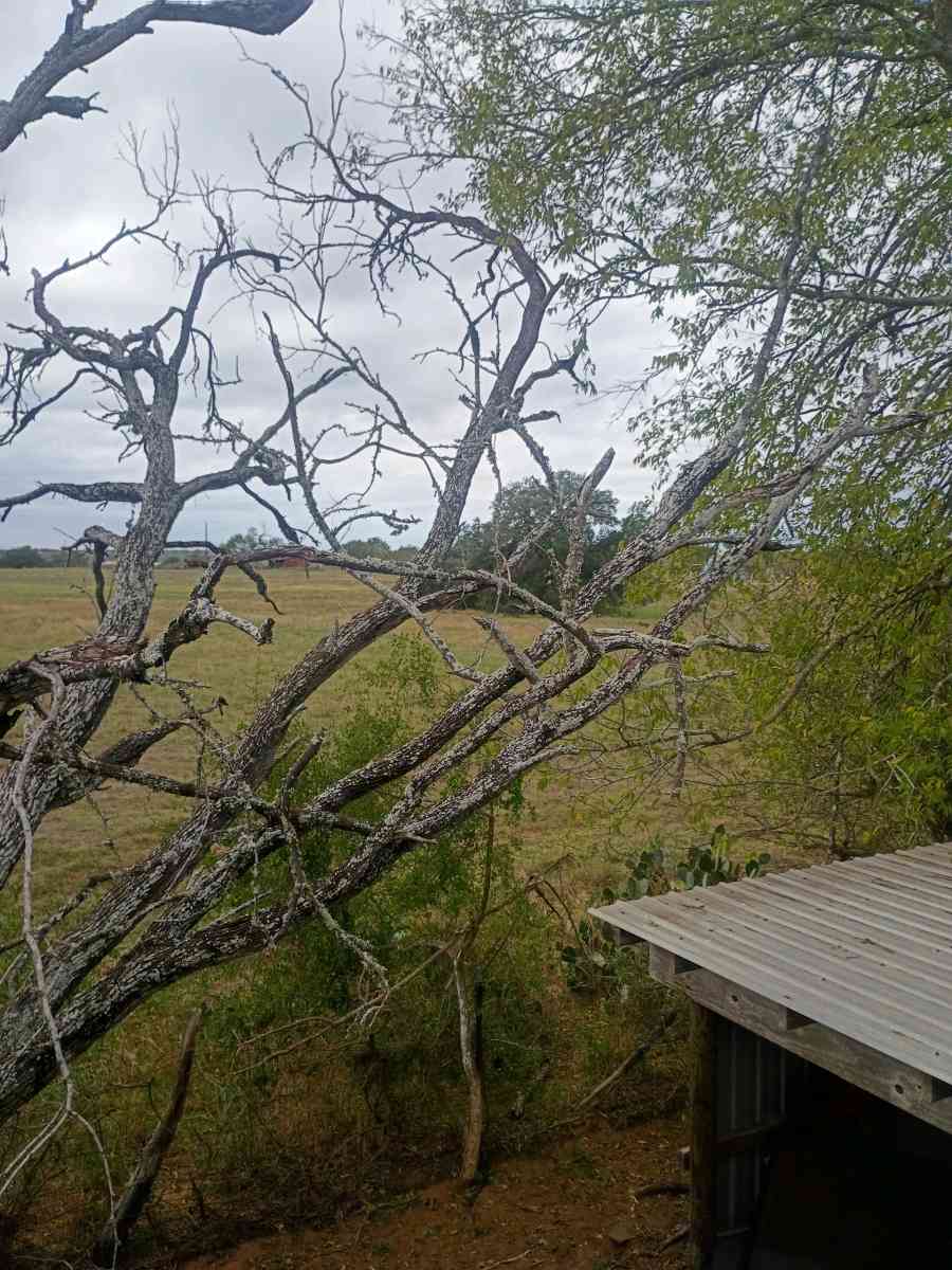 firewood - Adkins, Texas - FleaMarketBay