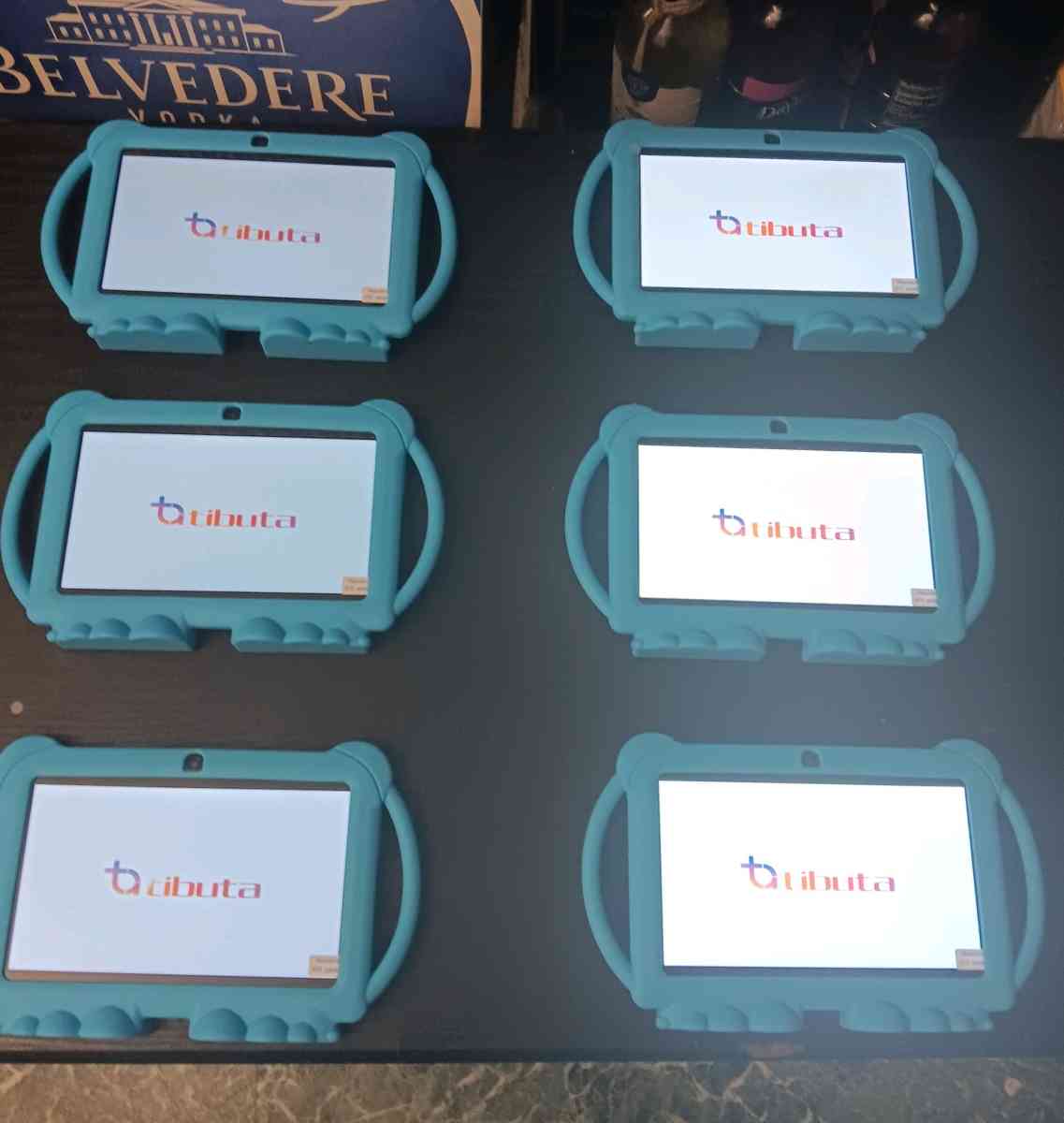 TIBUTA 7INCH ANDRIOD KIDS TABLETS