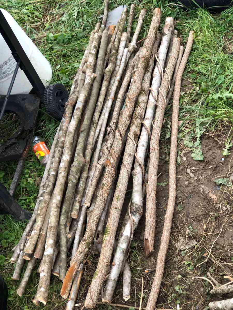 Twisted sticks - London, Kentucky - FleaMarketBay