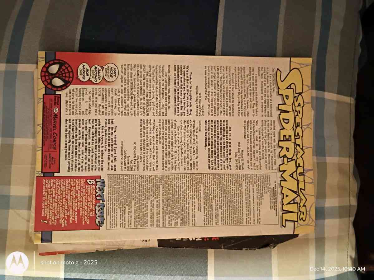 The Spectacular Spider man - Saint Landry, Louisiana - FleaMarketBay