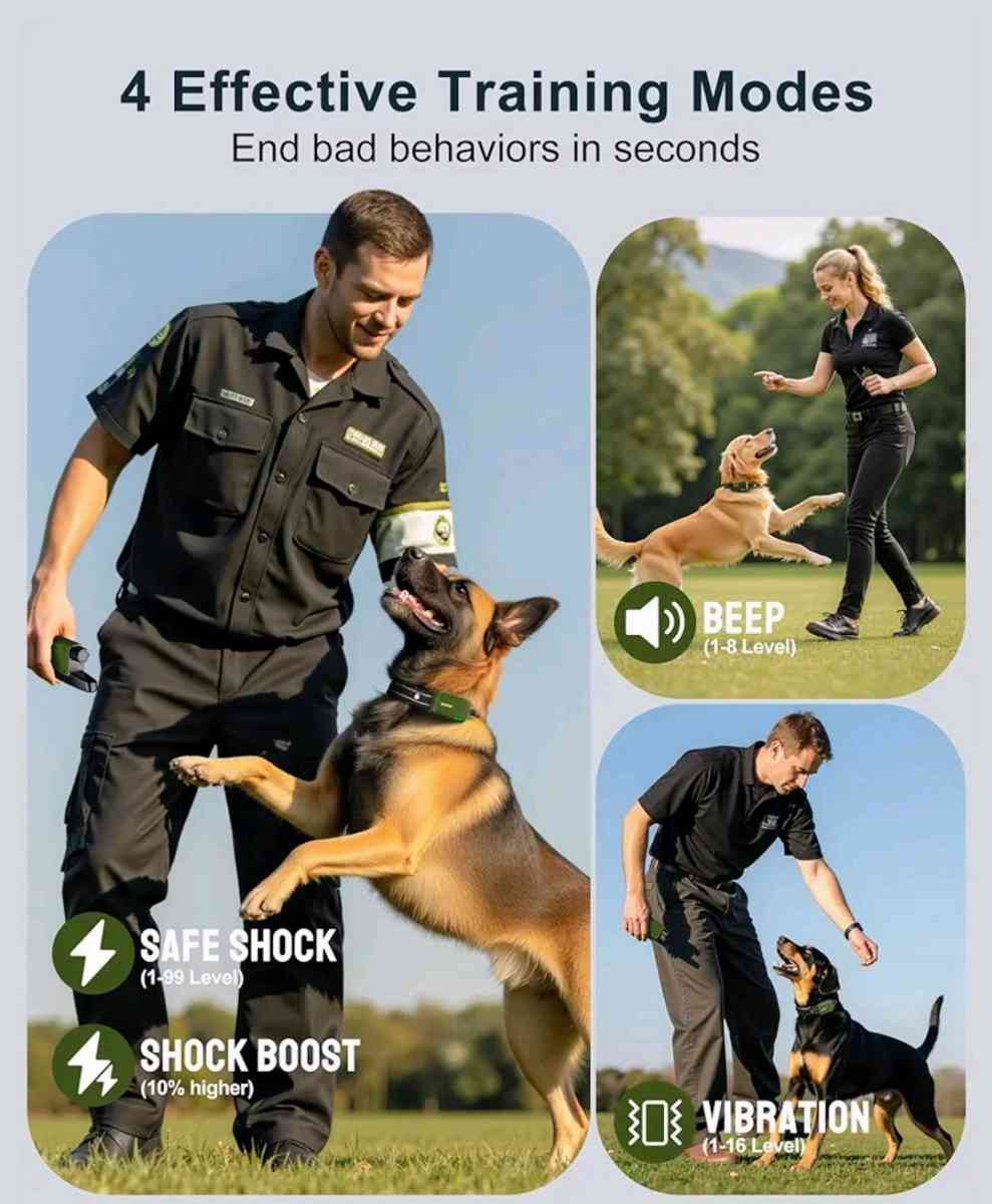 Collar de entrenamiento para perros - Richmond, Texas - FleaMarketBay