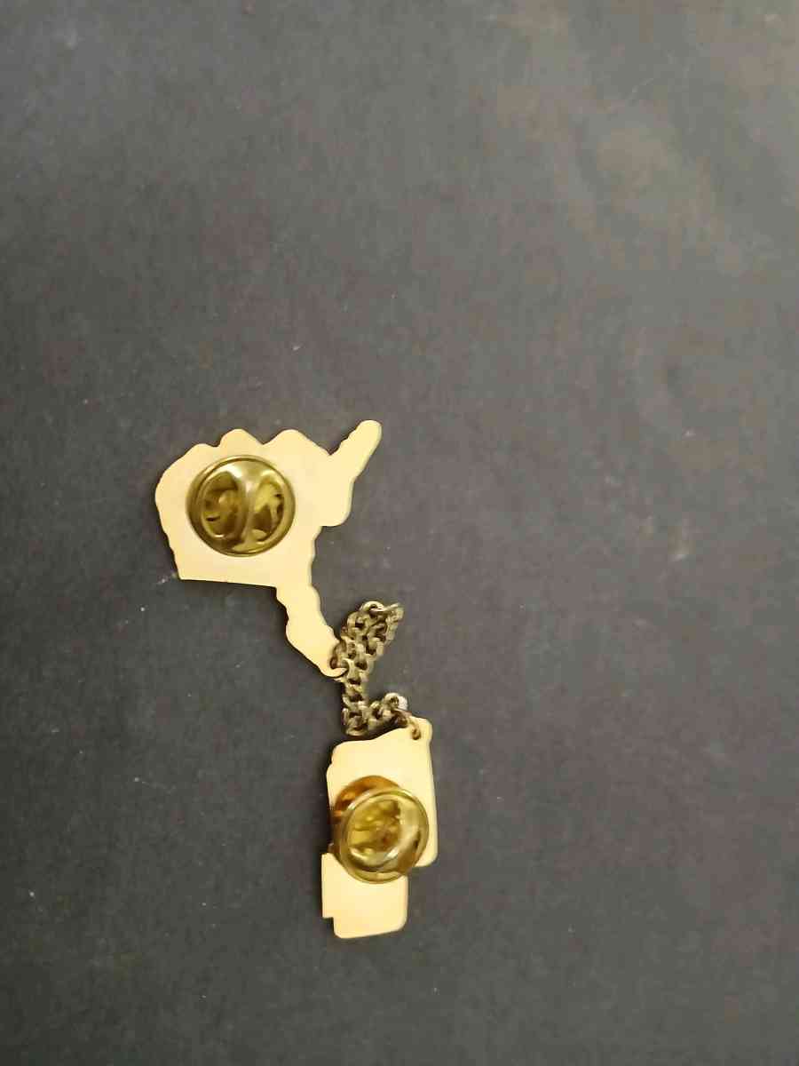 Alaska Little League pin - Adelanto, California - FleaMarketBay