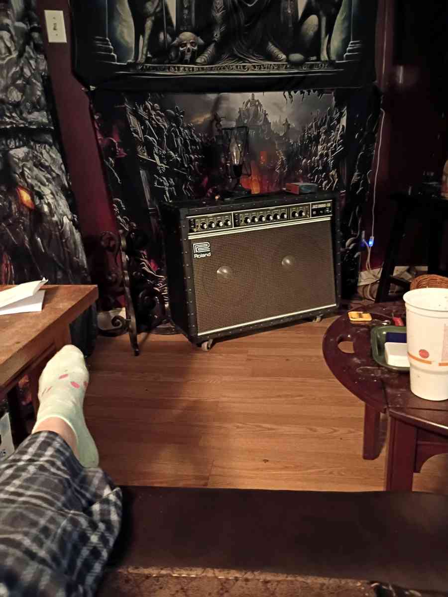 Roland speaker - Philadelphia, Pennsylvania - FleaMarketBay