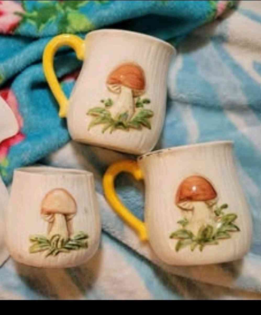 Vintage Merry Mushroom Drinkware - Rockford, Illinois - FleaMarketBay