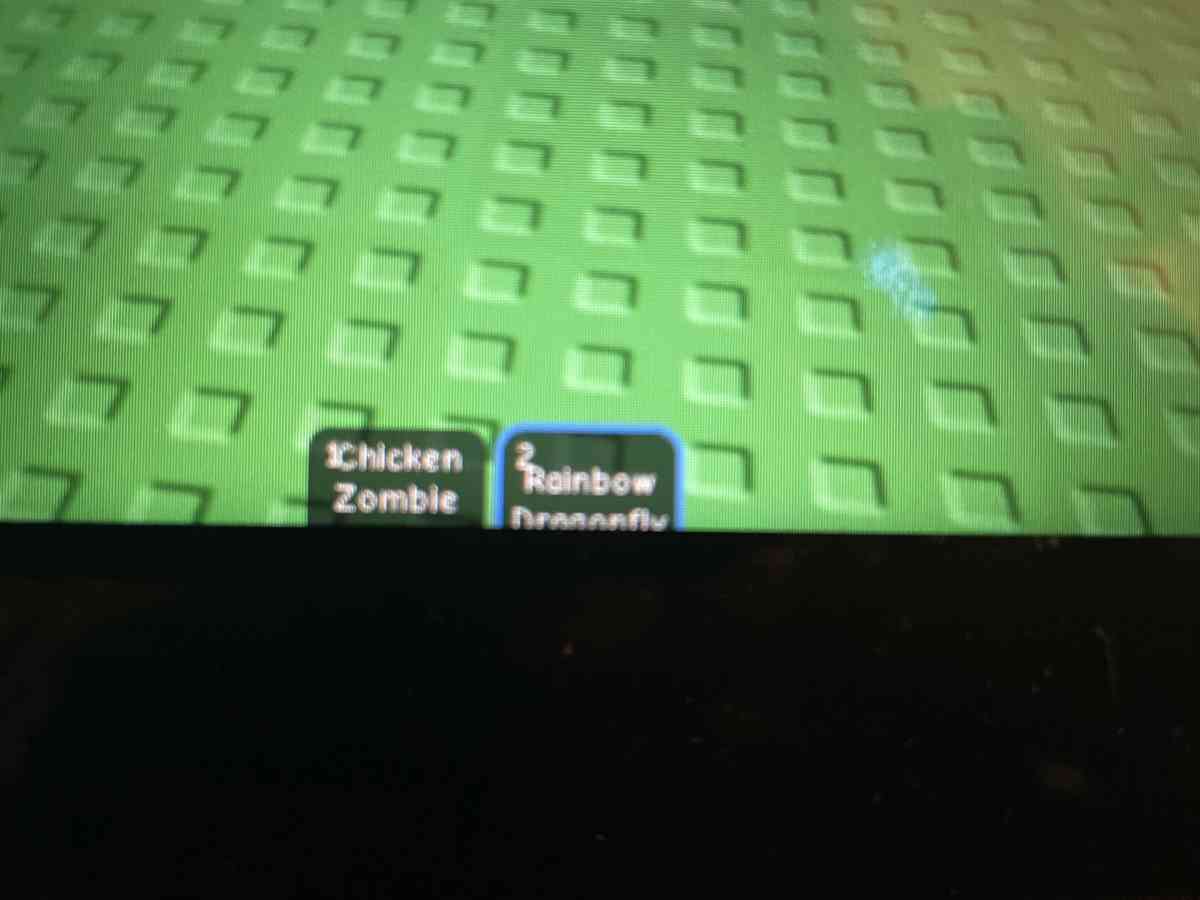 rainbow dragonfly - Pella, Iowa - FleaMarketBay