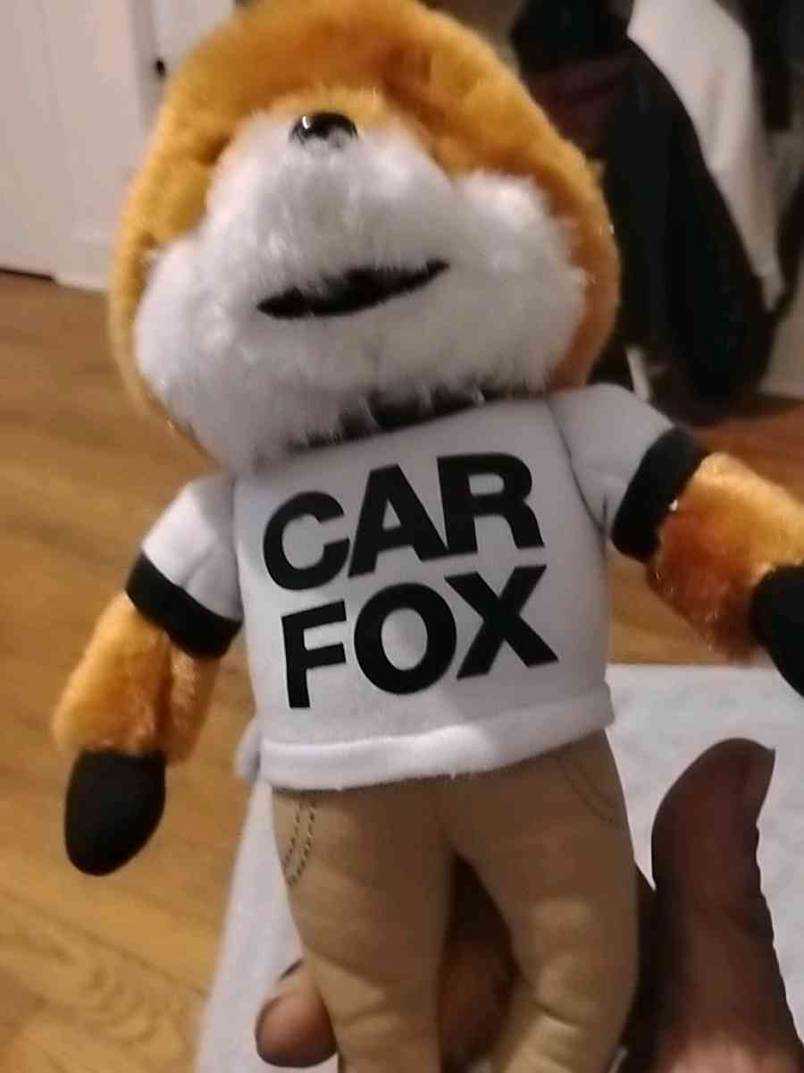 car fox - Dayton, Ohio