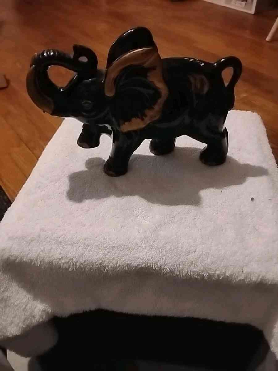 elephant - Dayton, Ohio