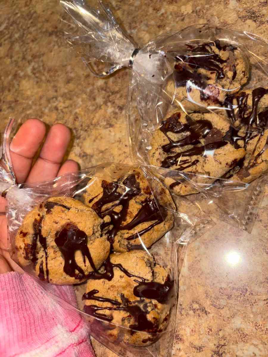 Homemade lactation cookies - Waterford, Pennsylvania - FleaMarketBay