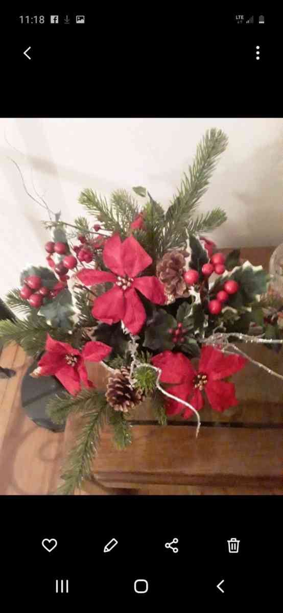 chirstmas joy - Bay Shore, New York