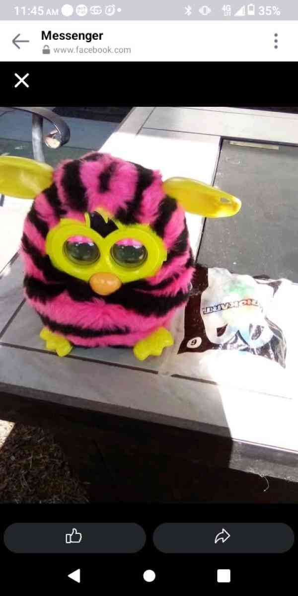 furby - San Diego, California