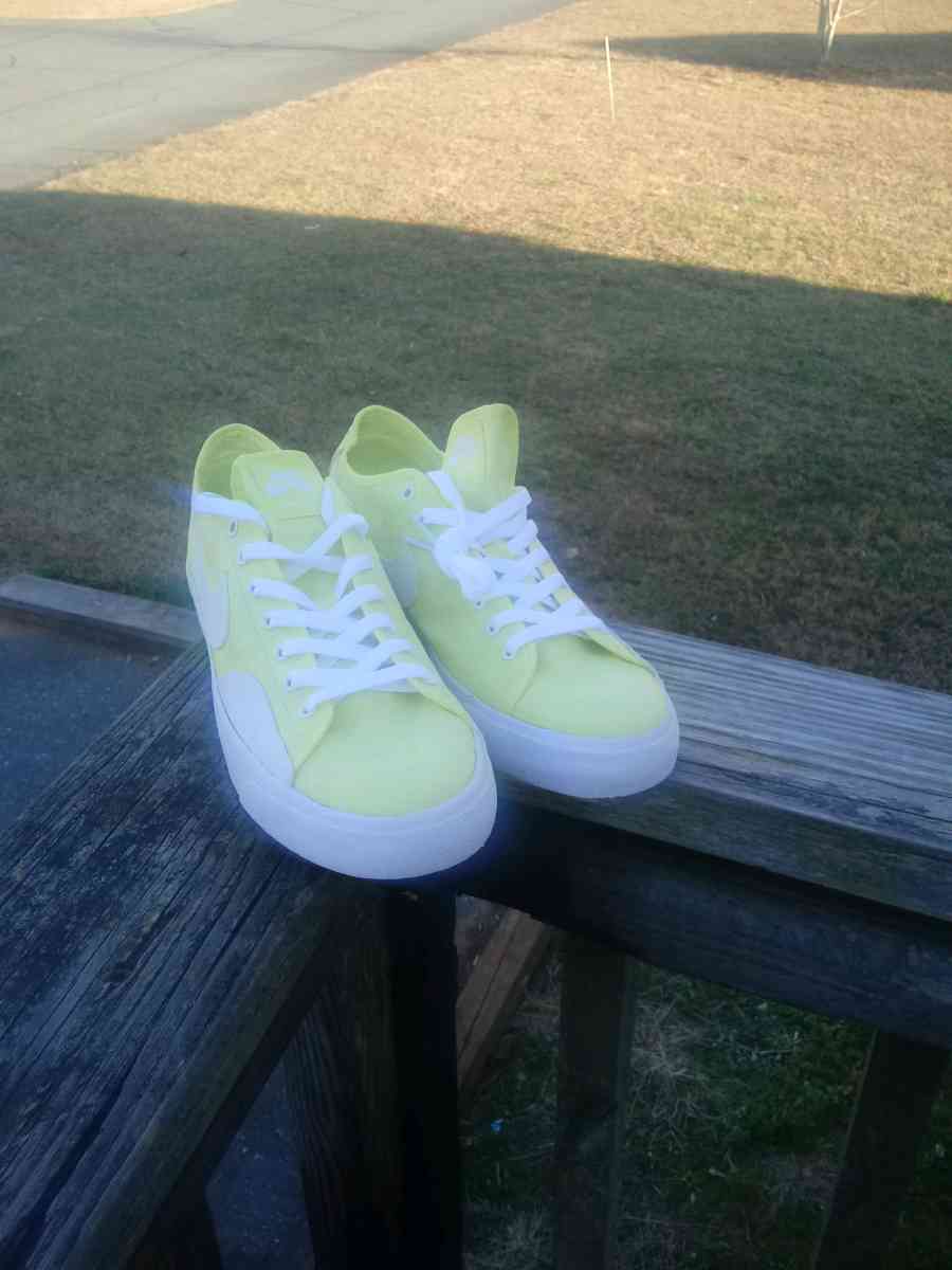 Nike SB Blazer Court - Ramseur, North Carolina - FleaMarketBay