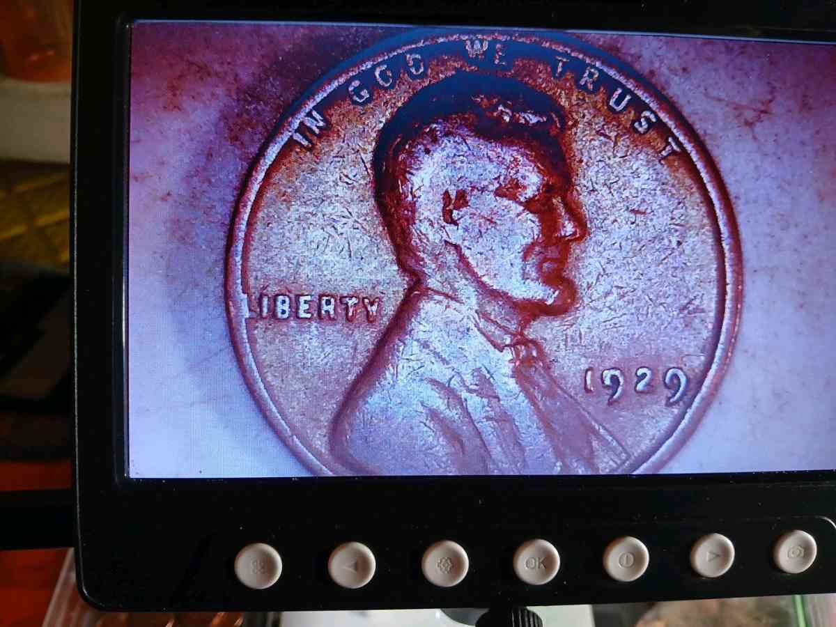 Lincoln wheat pennies 1924 1925 1926 1929 - Bakersfield, California - FleaMarketBay