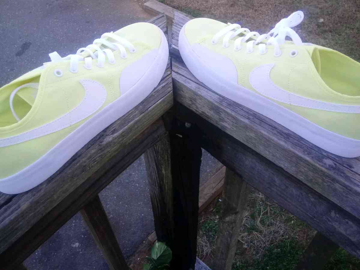 Nike SB Blazer Court - Ramseur, North Carolina - FleaMarketBay
