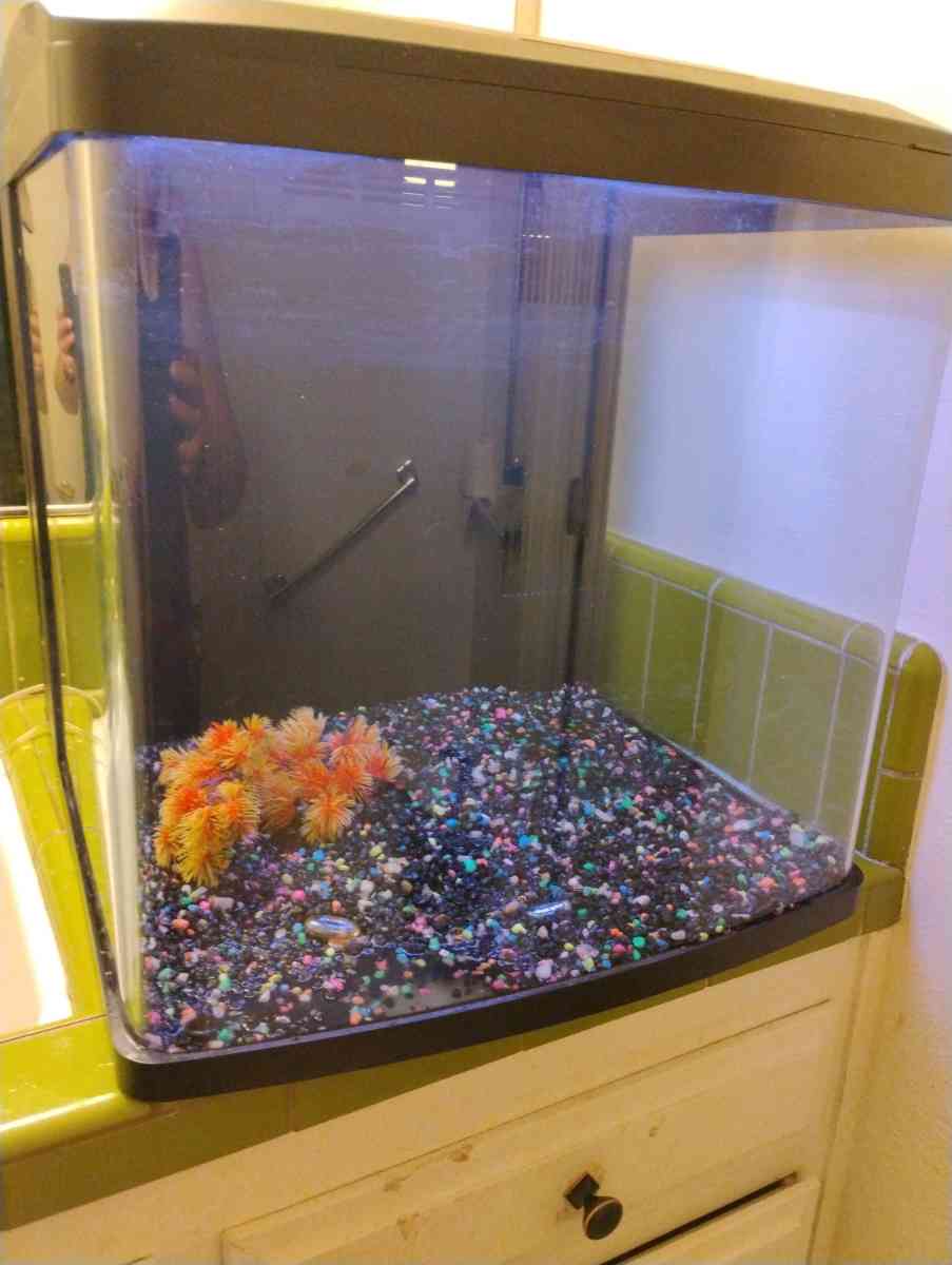Fish Tank 32 gallon bio cube - Fair Oaks, California - FleaMarketBay