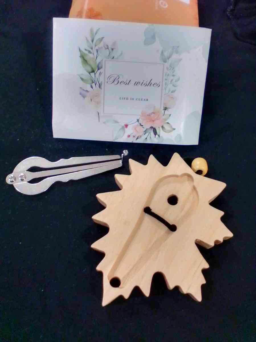 jaw harp with wooden case - Flushing, New York - FleaMarketBay