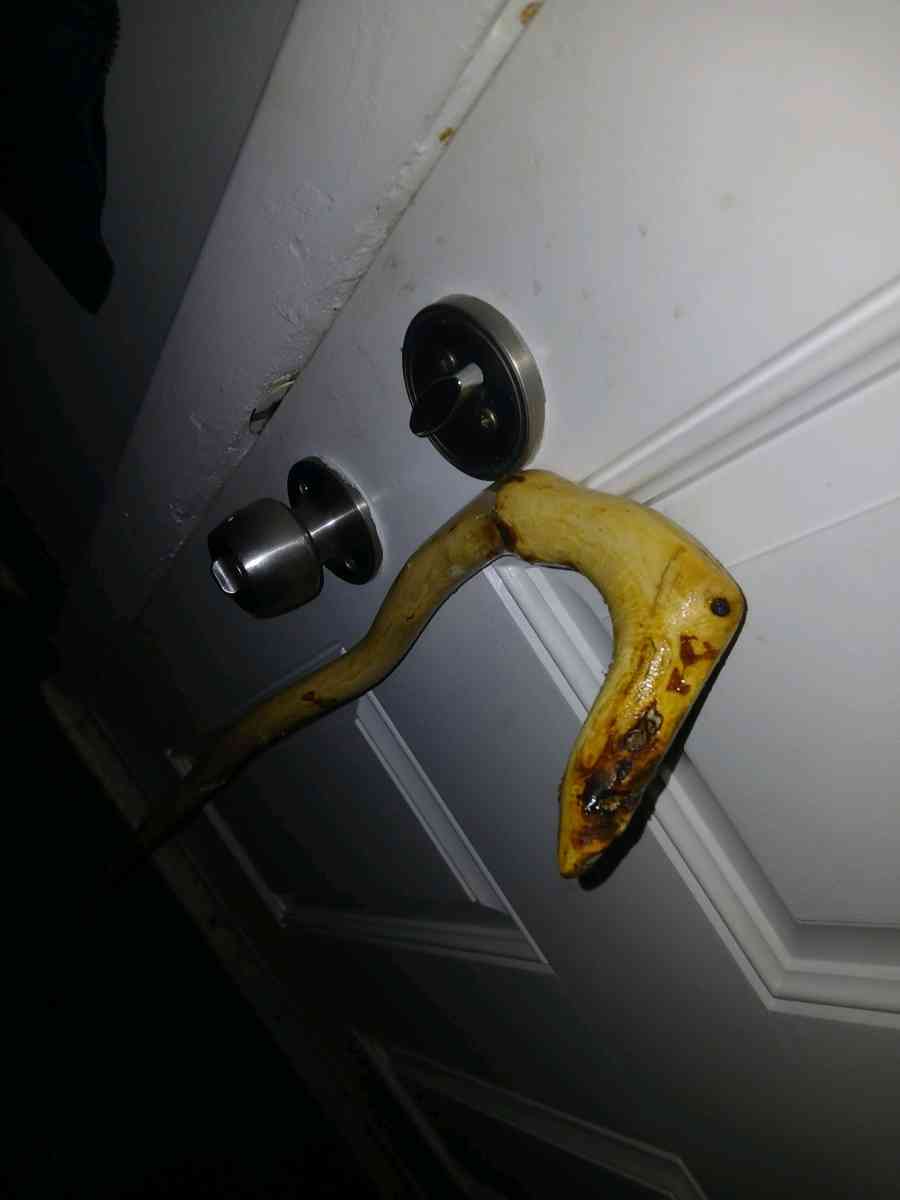 hazelnut walking stick - Troy, New York - FleaMarketBay