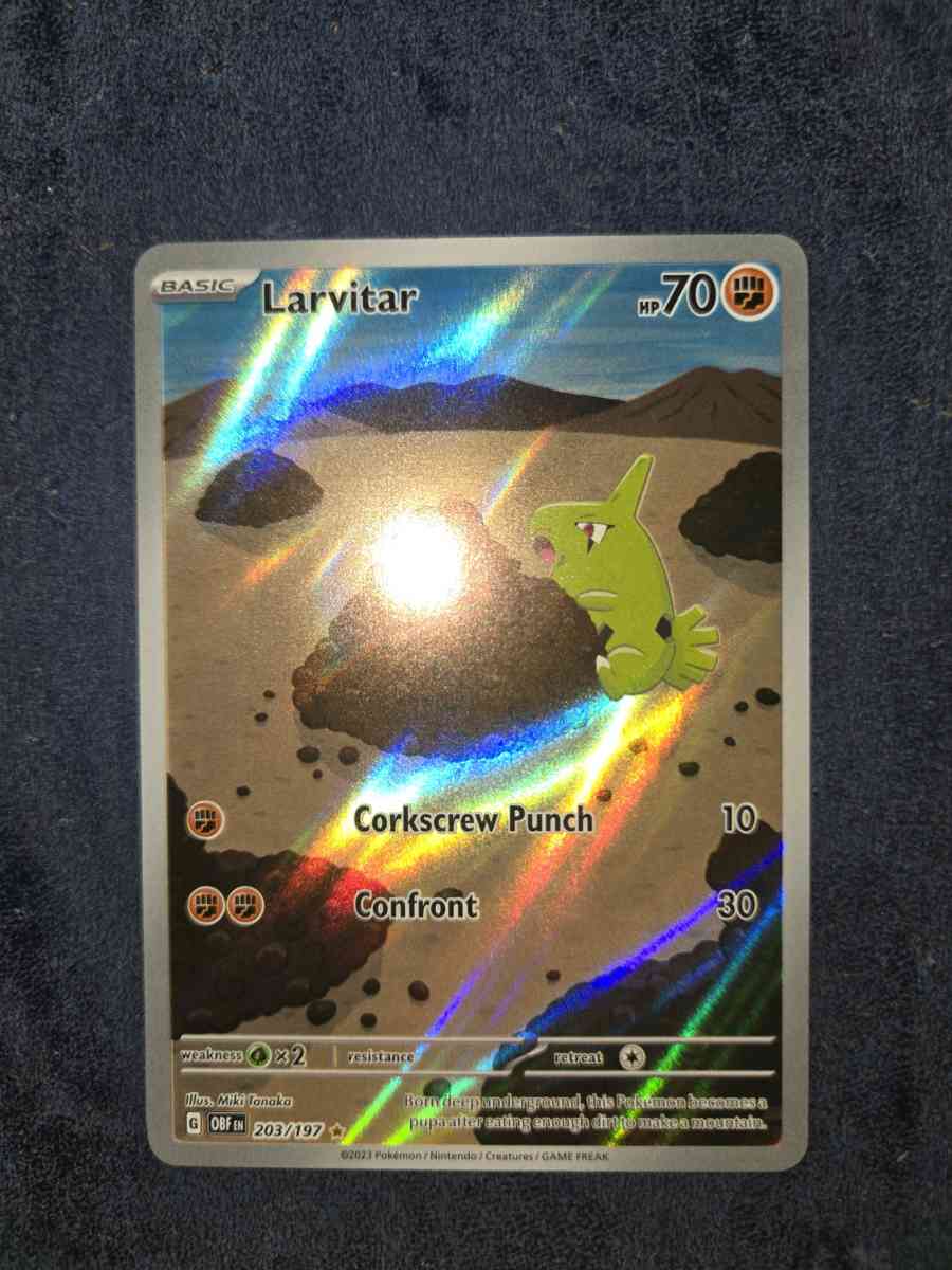 larvitar - Yelm, Washington