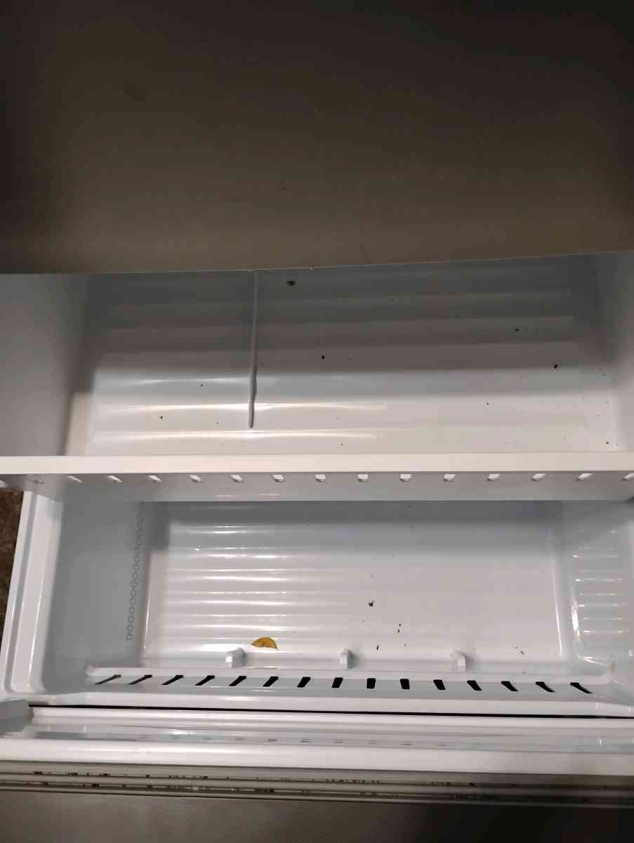 2025 Hisense Mora bottom freezer refrigerator - Dallas, Texas - FleaMarketBay