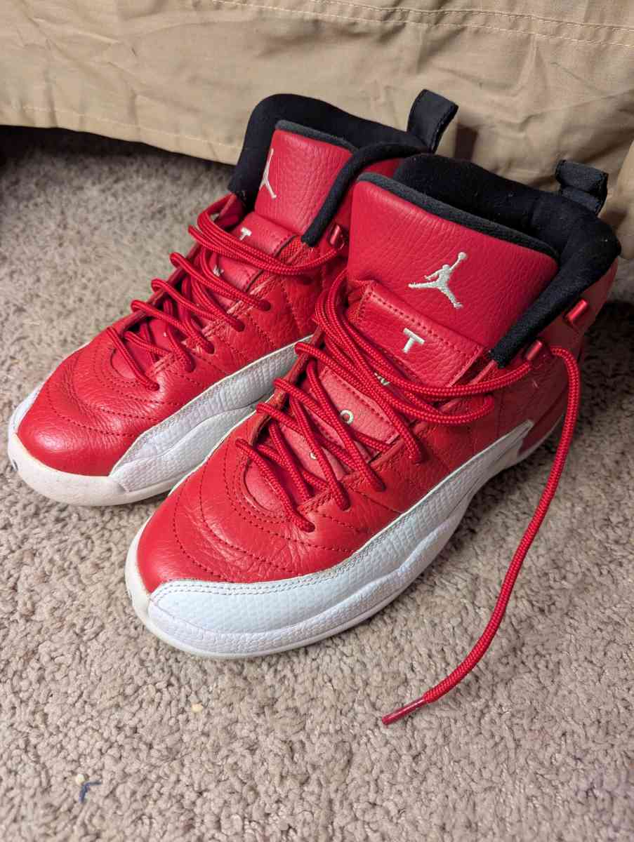 Boys Air Jordan 12 Retro Sneakers - Monroe, North Carolina