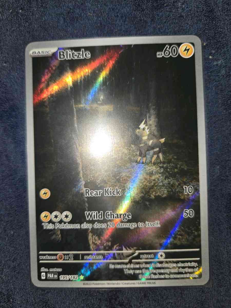 blitzle - Yelm, Washington