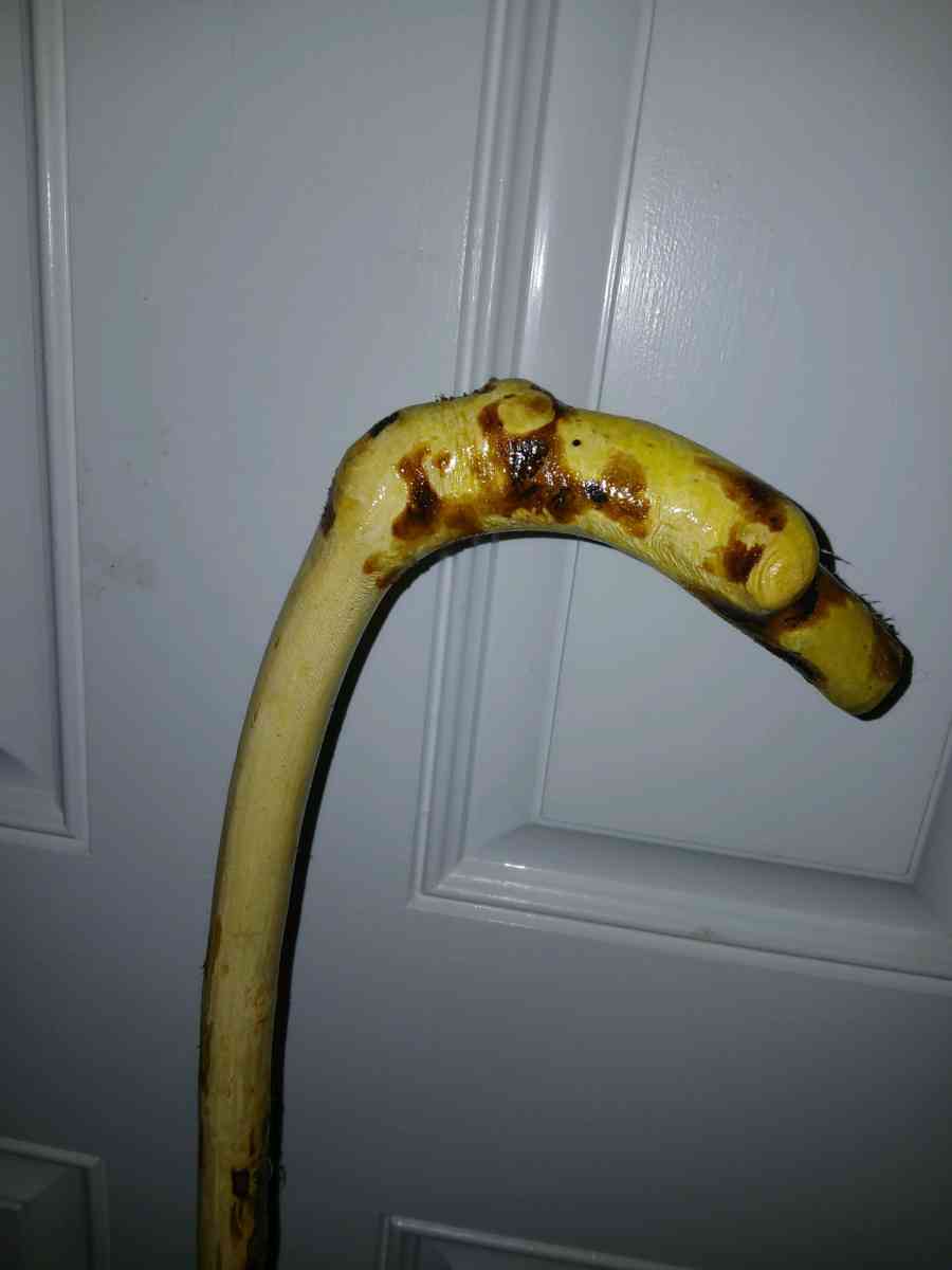 hazelnut walking stick - Troy, New York - FleaMarketBay
