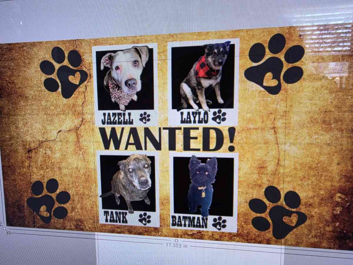 customize shirts cups - San Antonio, Texas - FleaMarketBay