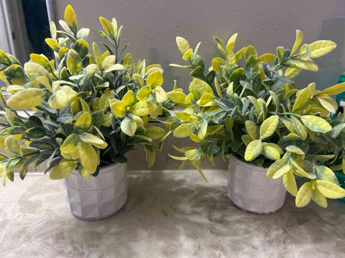 artificial potted plants