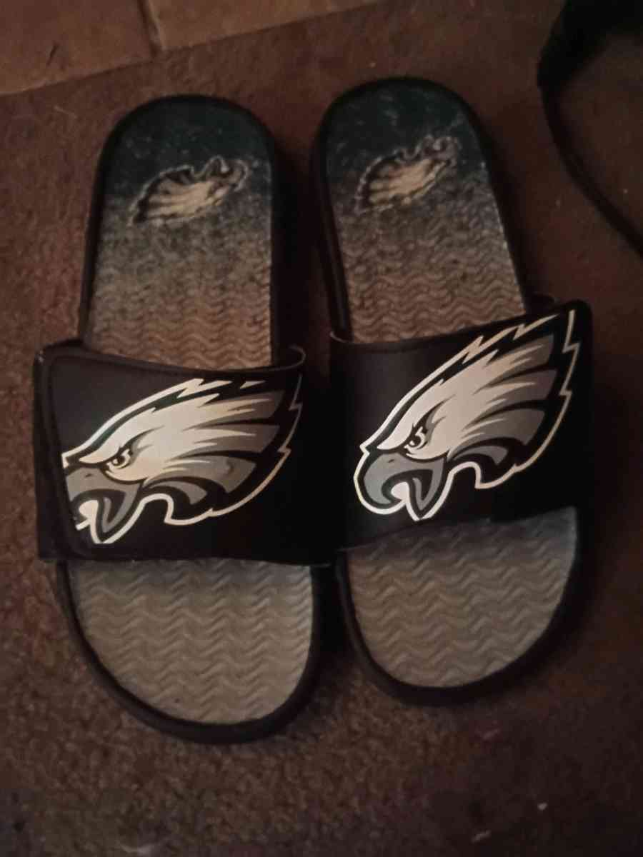 Philadelphia eagles slides - Abington, Pennsylvania