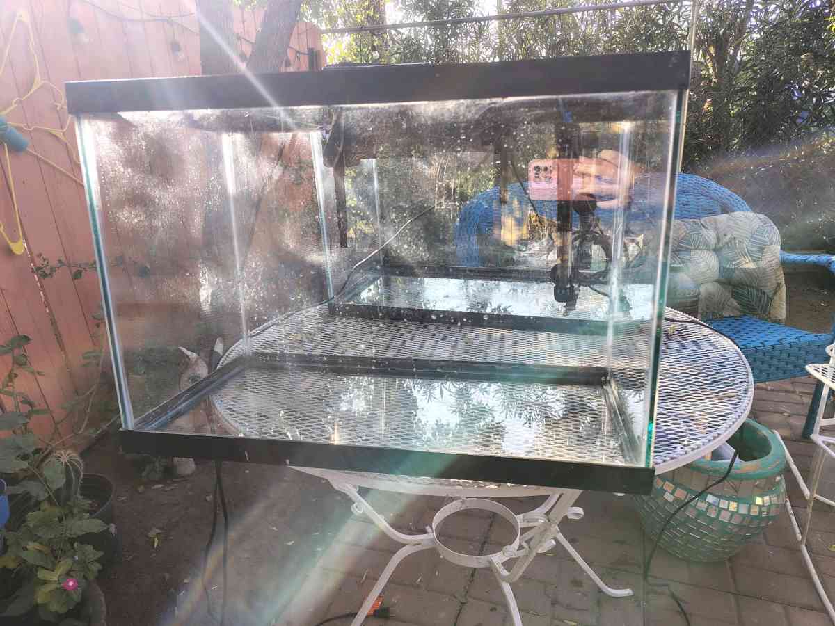 20 gallon tank - Laredo, Texas - FleaMarketBay