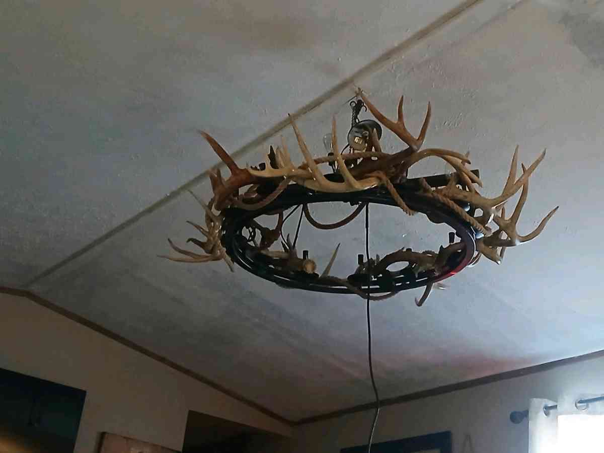 Deer antler chandelier ox yoke - Chillicothe, Ohio