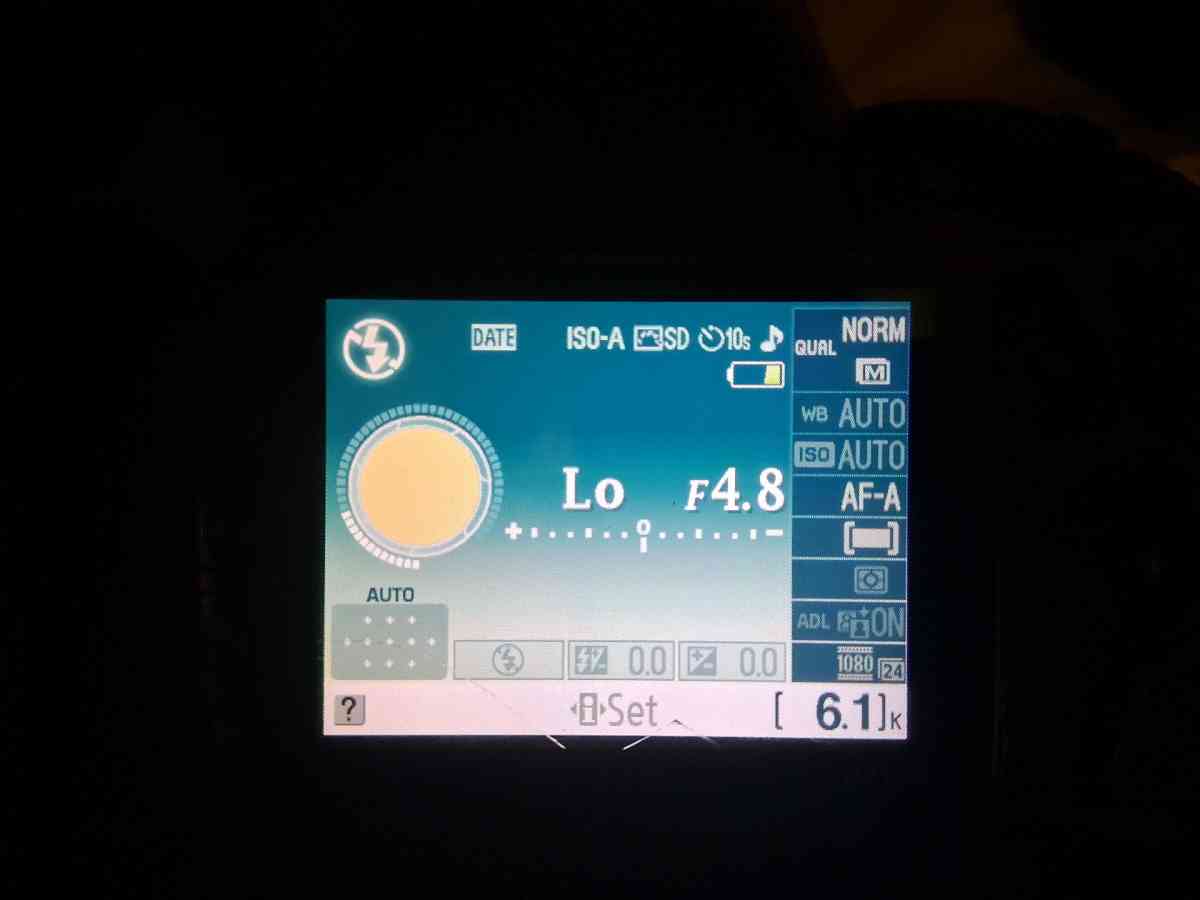 The Nikon D3100 - Chester, Arkansas - FleaMarketBay