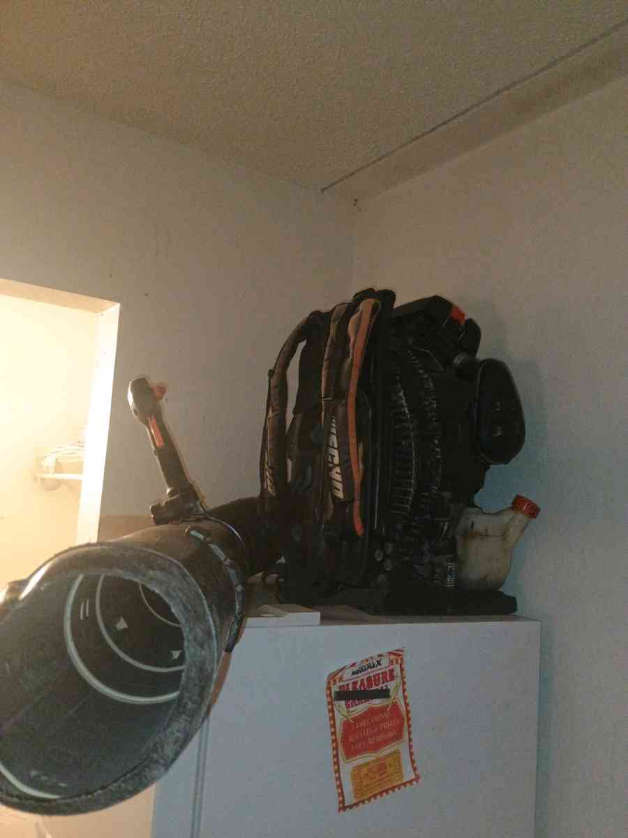 echo backpack blower - San Antonio, Texas - FleaMarketBay