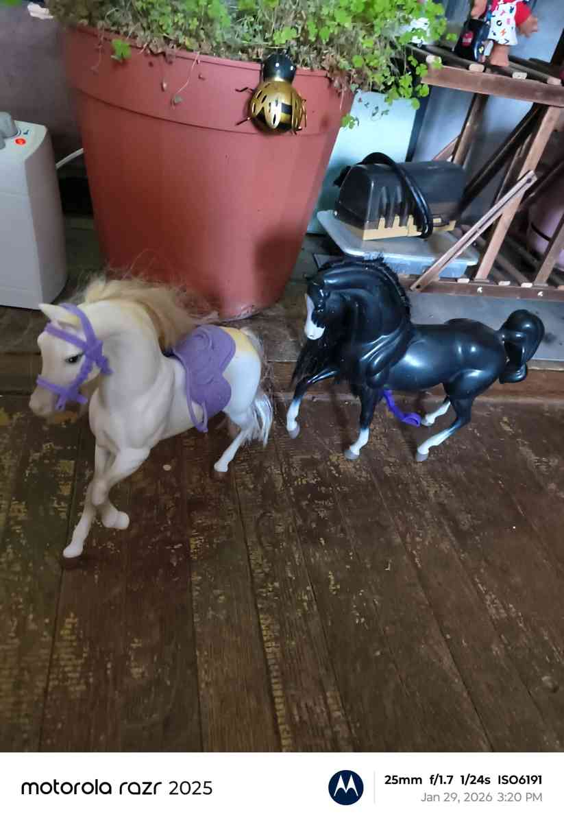 90s White horse with purple saddle - Adirondack, New York - FleaMarketBay