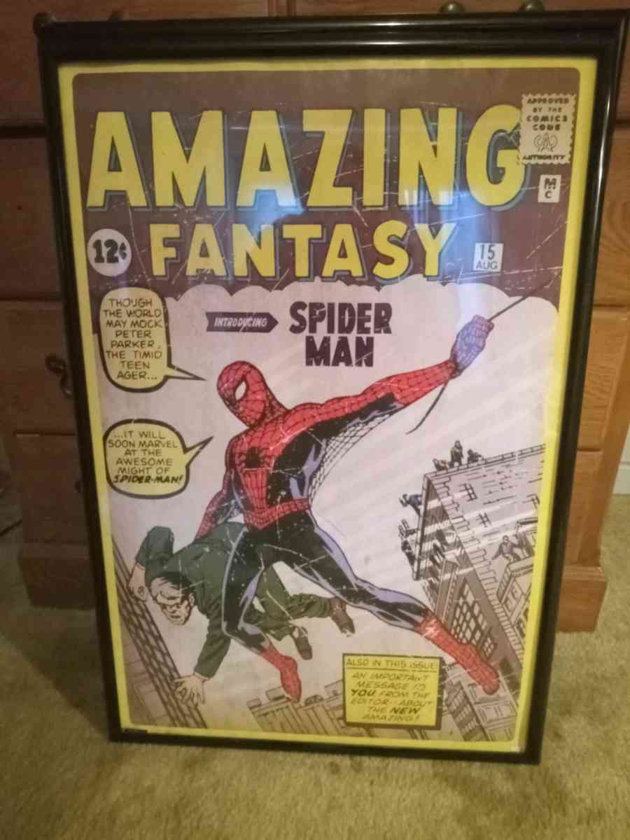 Framed SpiderMan poster - Bessemer, Alabama