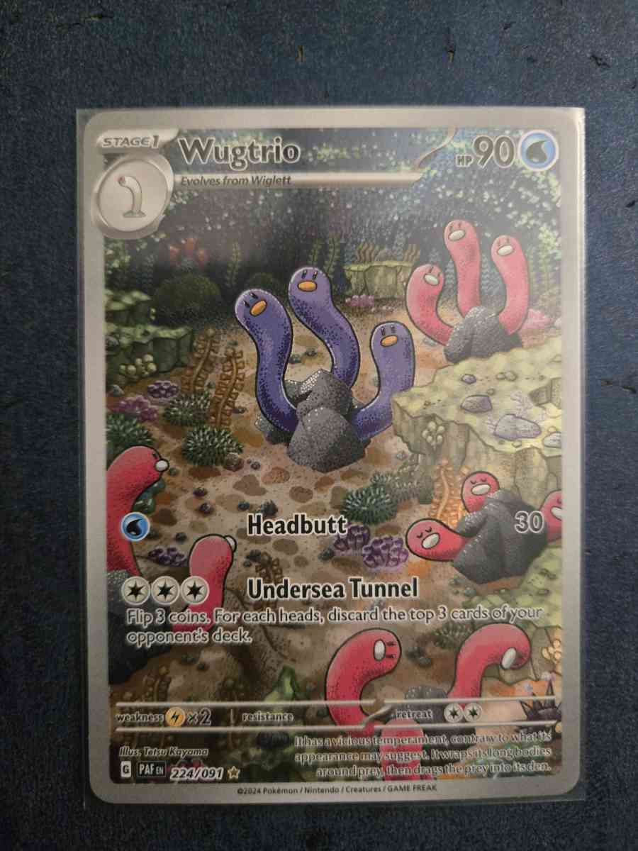 wugtrio - Yelm, Washington