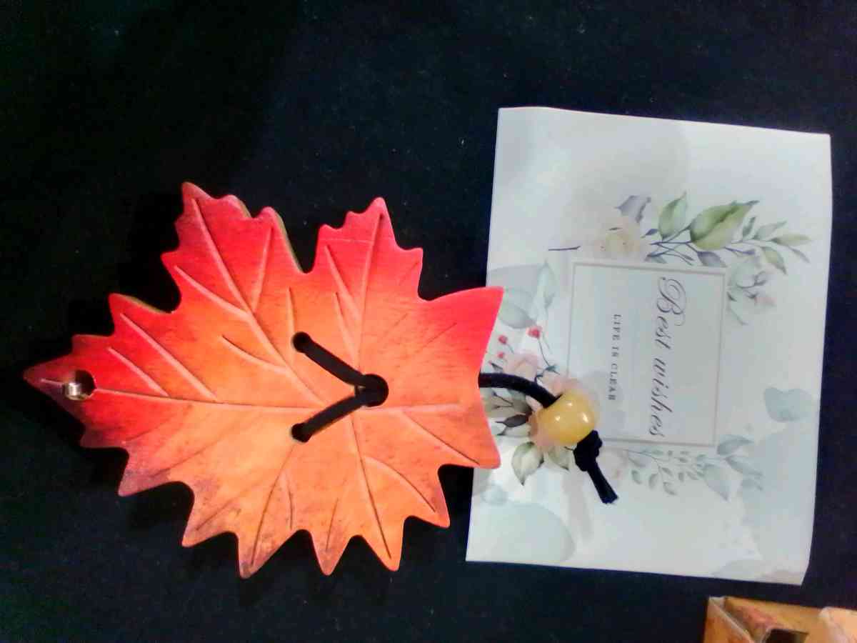 jaw harp with wooden case - Flushing, New York - FleaMarketBay