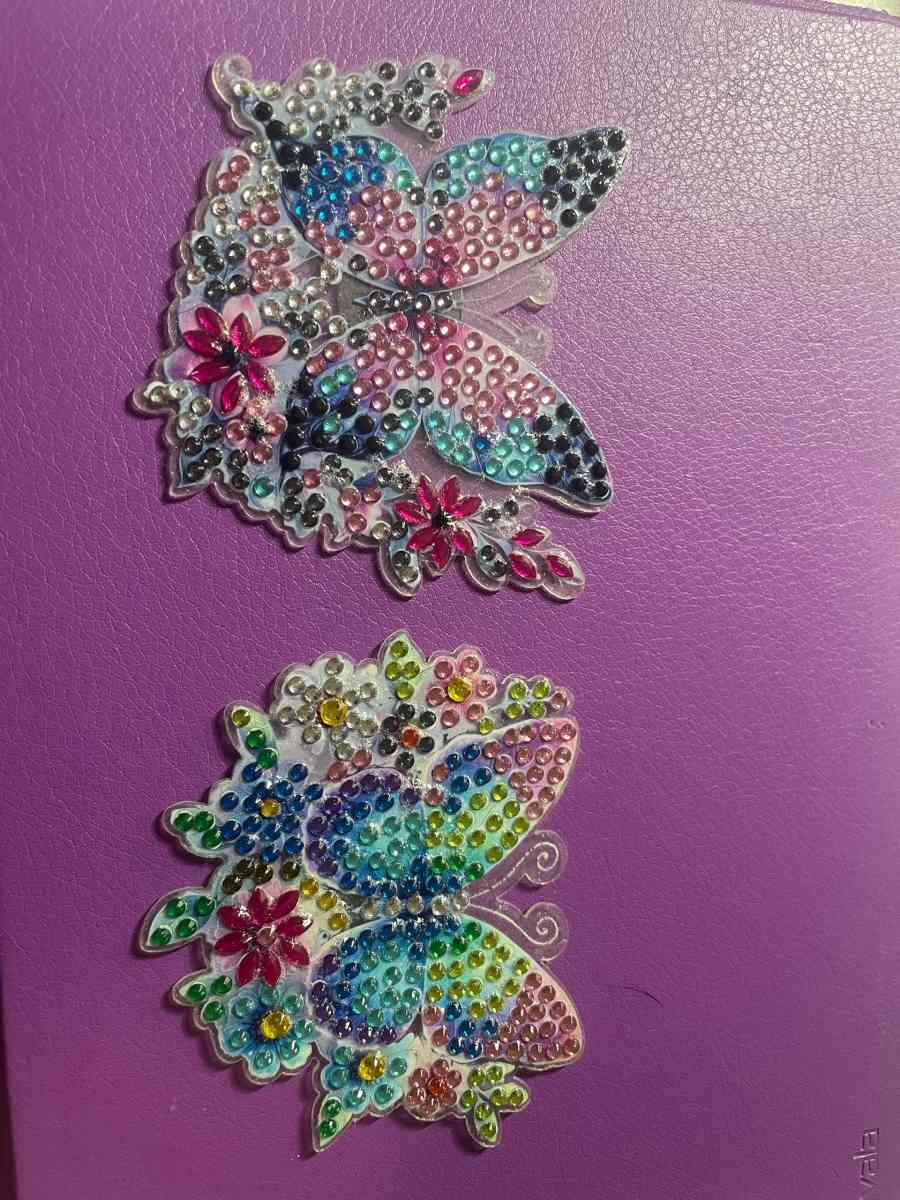 Butterfly Magnets - Austin, Texas