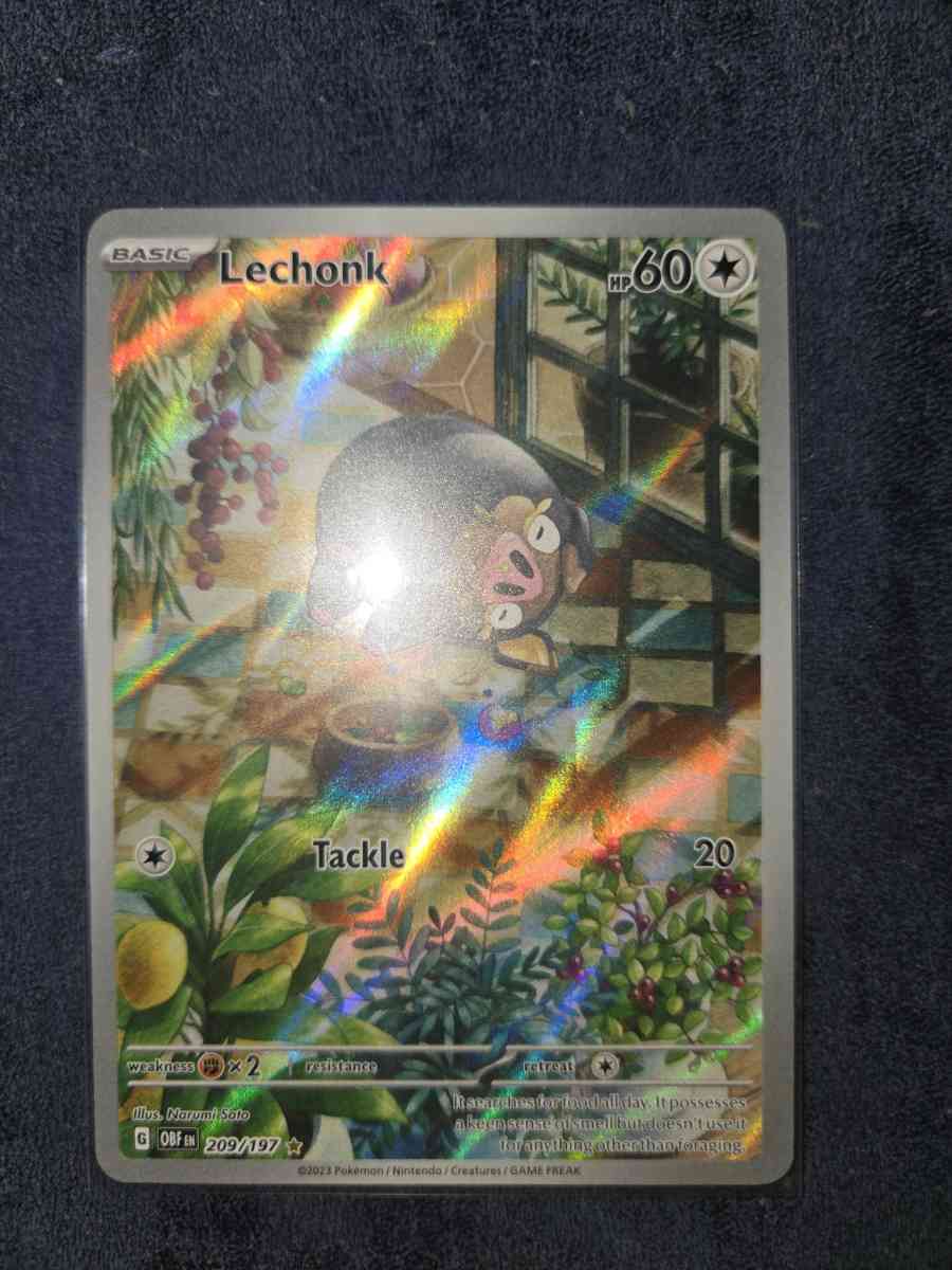 lechonk - Yelm, Washington