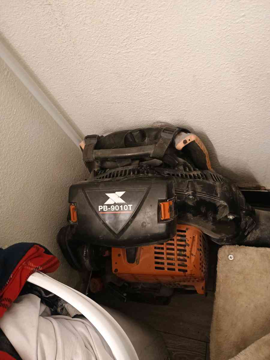 echo backpack blower - San Antonio, Texas - FleaMarketBay