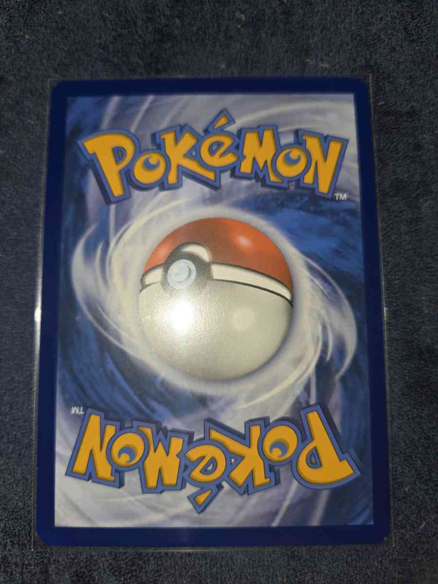 braviary - Yelm, Washington - FleaMarketBay