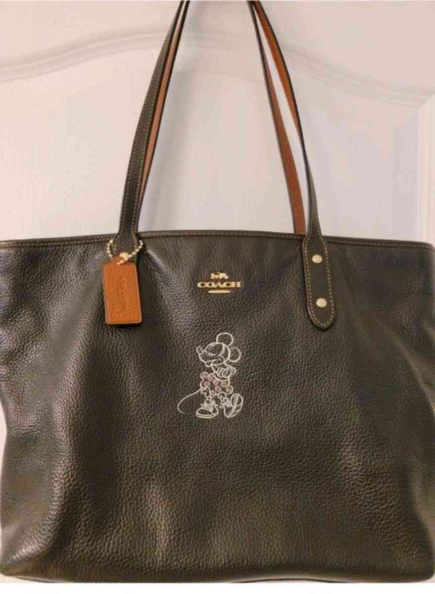 Minnie mouse coach purse - Hudson, Florida - FleaMarketBay